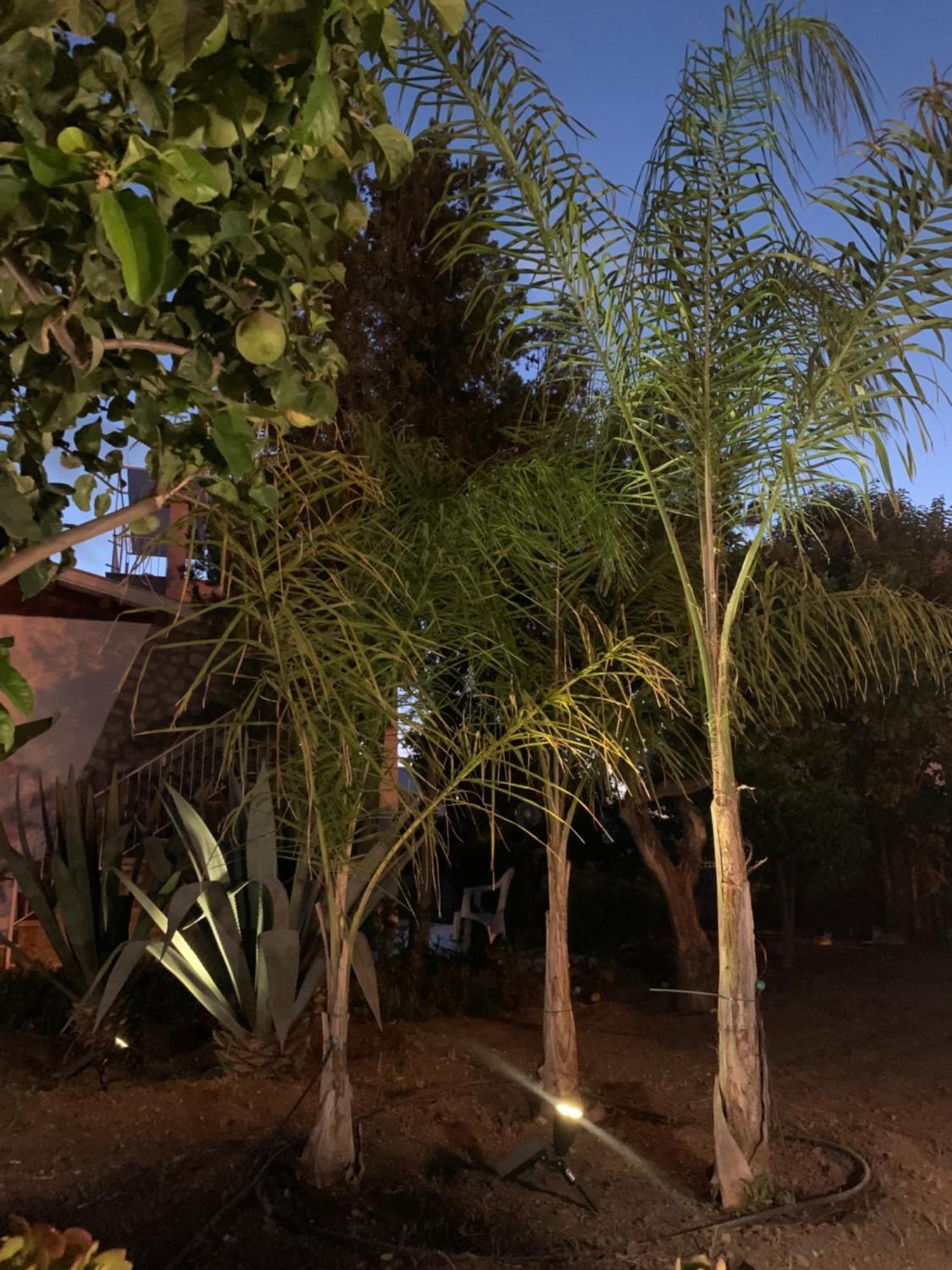 Casa Vacanze Astori เทรเบีย ภายนอก รูปภาพ